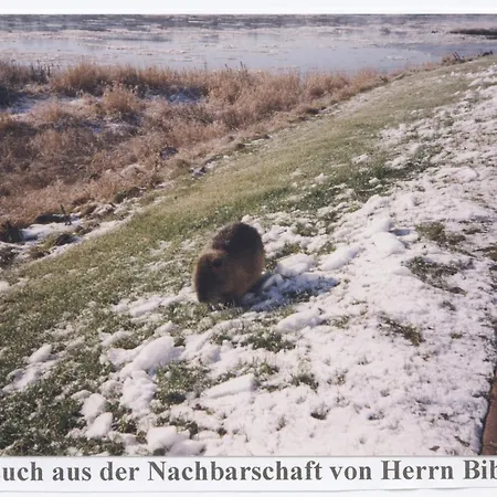 Elbterrassen zu Brambach-3